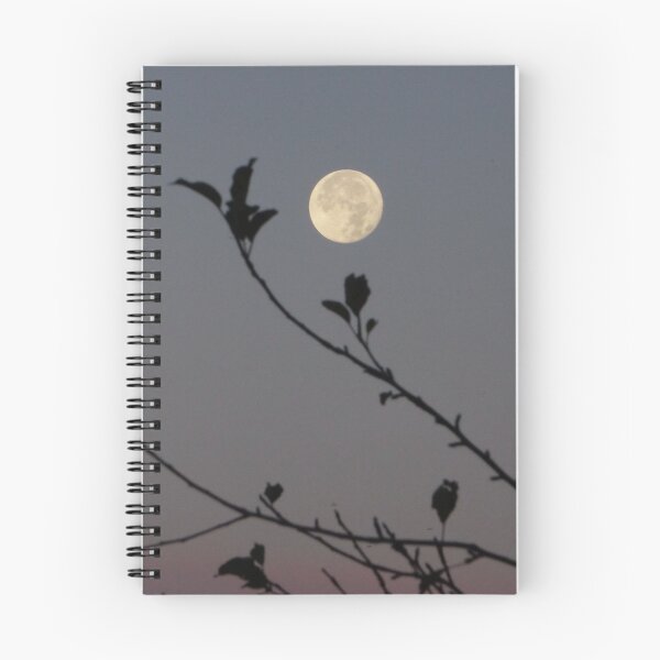 Item preview, Morning Moon designed and sold by StudebakerAcres.