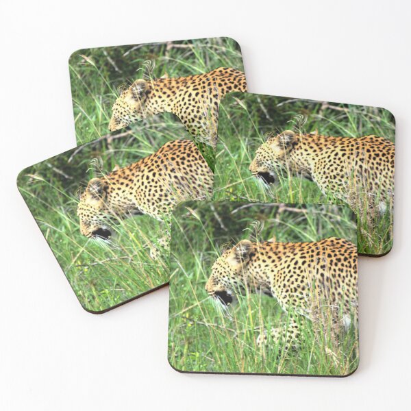 Item preview, A stalking Leopard - Animal lovers photography designed and sold by artyfartypants.