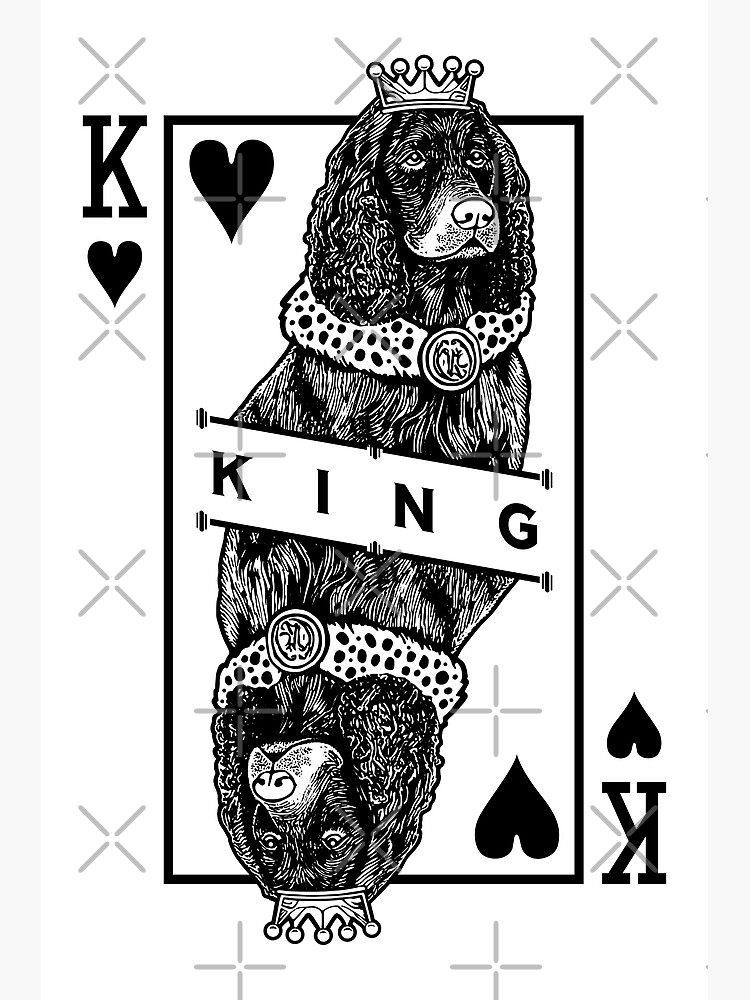 American Water Spaniel King Of Hearts Funny Dog Lover Poster