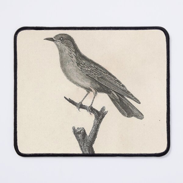 Item preview, Blue and Rufous Warbler Female designed and sold by ptMaker.
