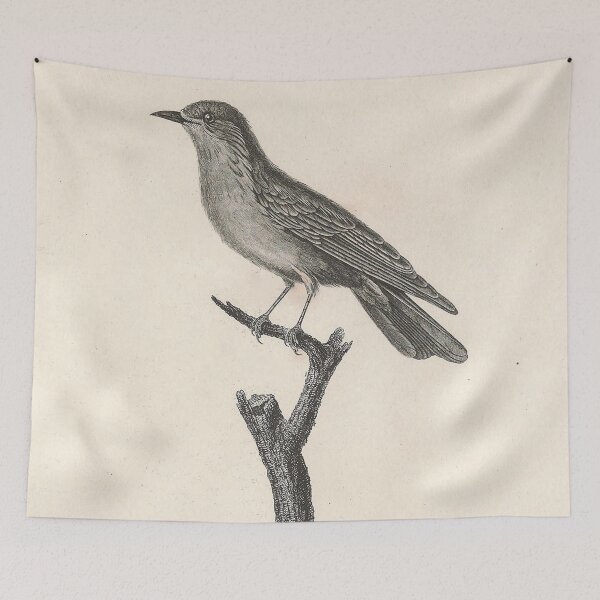 Item preview, Blue and Rufous Warbler Female designed and sold by ptMaker.