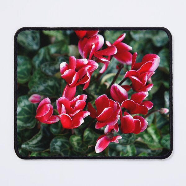 Item preview, Natural Movement designed and sold by Nira Dabush.