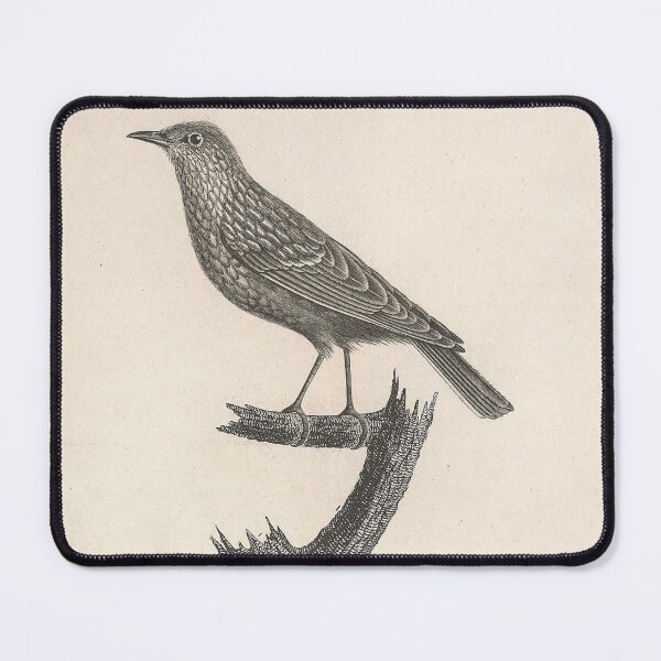 Item preview, Young  Blue and Rufous Warbler designed and sold by ptMaker.