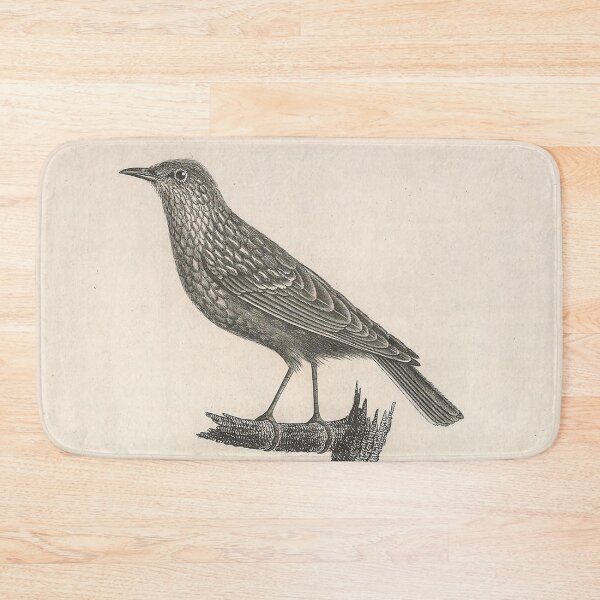 Item preview, Young  Blue and Rufous Warbler designed and sold by ptMaker.