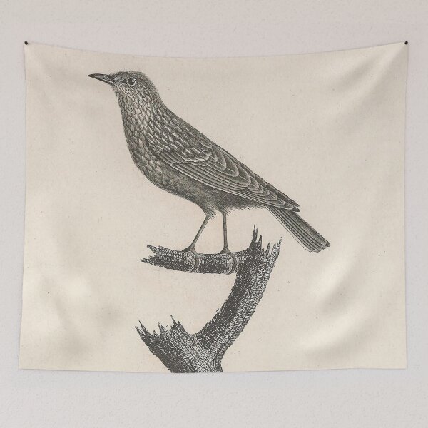 Item preview, Young  Blue and Rufous Warbler designed and sold by ptMaker.