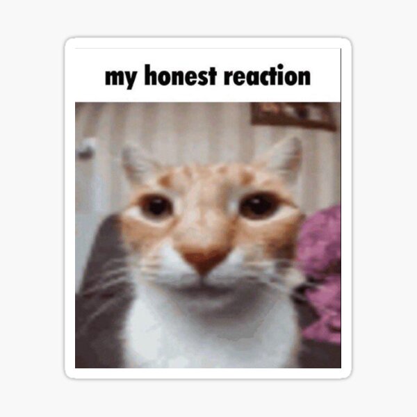 My Honest Reaction My Honest Reaction Meme Sticker - My honest