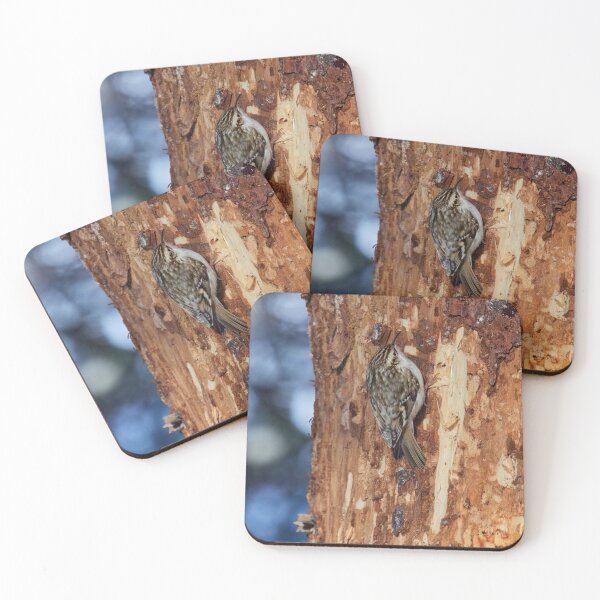 Item preview, On the lost bark zone. Treecreeper designed and sold by Jouko Lehto Photography.