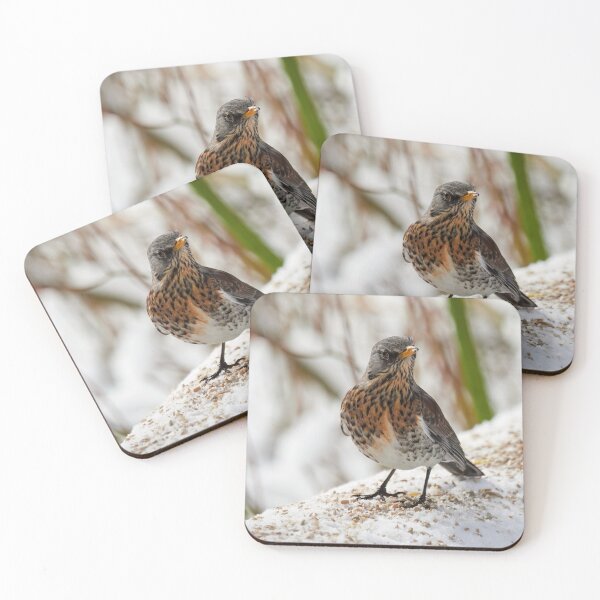 Item preview, What was that. Fieldfare designed and sold by Jouko Lehto Photography.