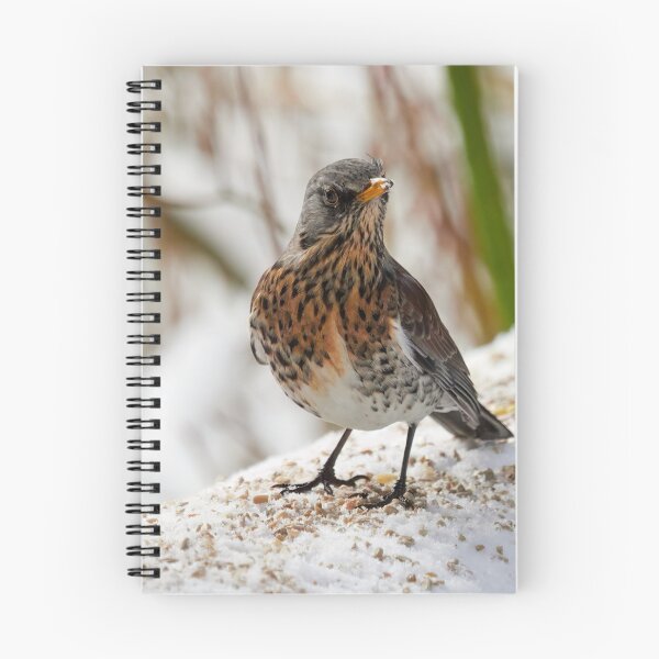 Item preview, What was that. Fieldfare designed and sold by Jouko Lehto Photography.