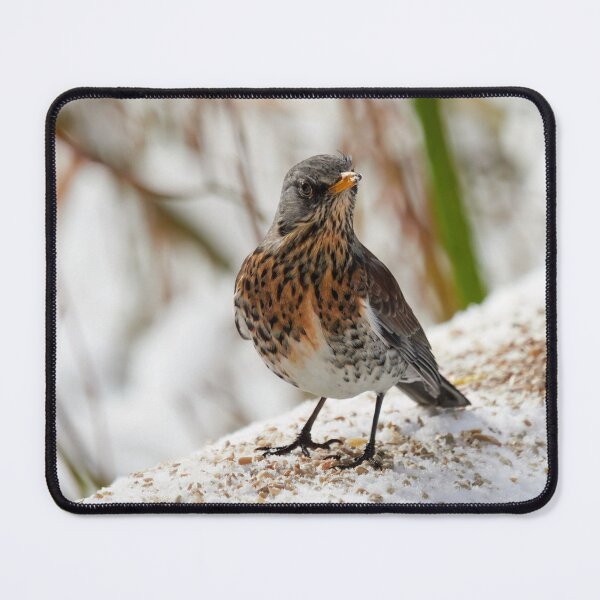 Item preview, What was that. Fieldfare designed and sold by Jouko Lehto Photography.