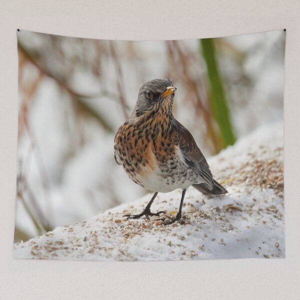 Item preview, What was that. Fieldfare designed and sold by Jouko Lehto Photography.