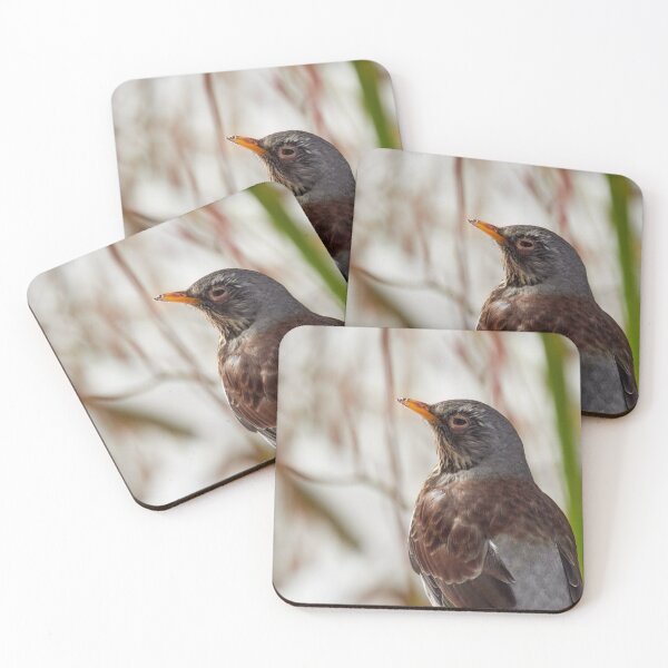Item preview, Aah the sun. Fieldfare designed and sold by Jouko Lehto Photography.