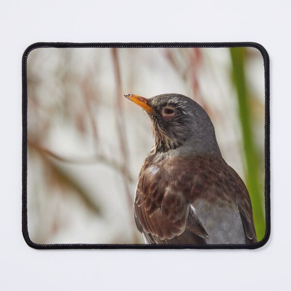 Item preview, Aah the sun. Fieldfare designed and sold by Jouko Lehto Photography.