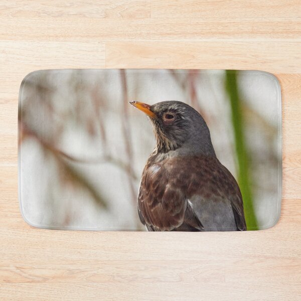 Item preview, Aah the sun. Fieldfare designed and sold by Jouko Lehto Photography.