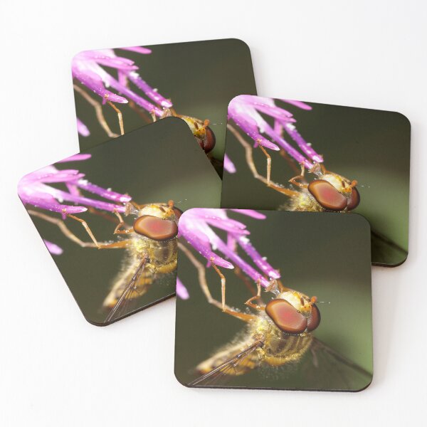 Item preview, Hoverfly - Syrphidae - Wales designed and sold by Darren Wilkes.