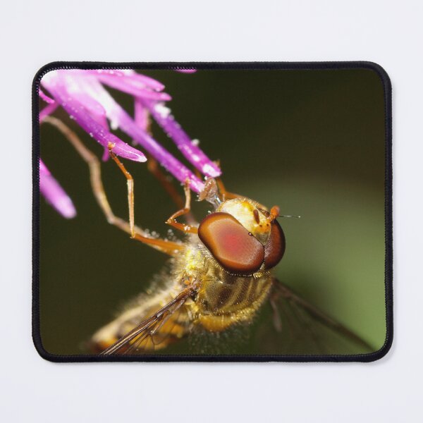 Item preview, Hoverfly - Syrphidae - Wales designed and sold by Darren Wilkes.