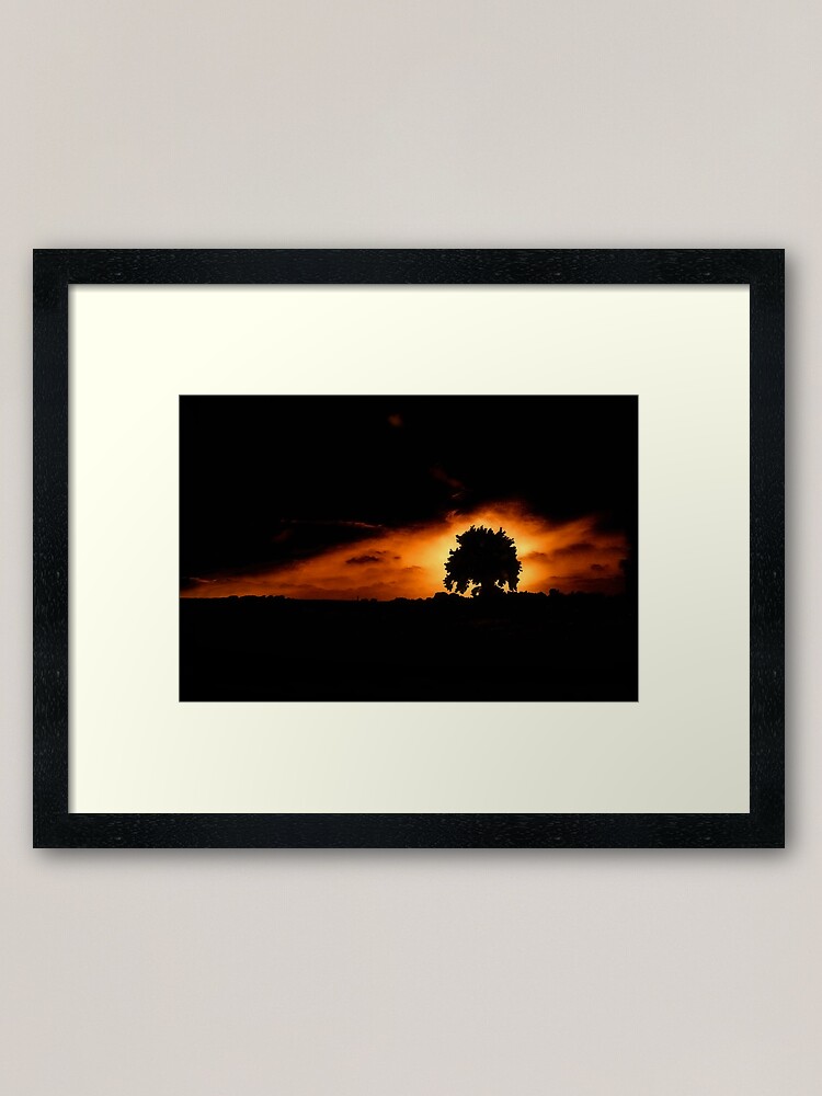 Alternate view of Tree, Darkness Framed Art Print