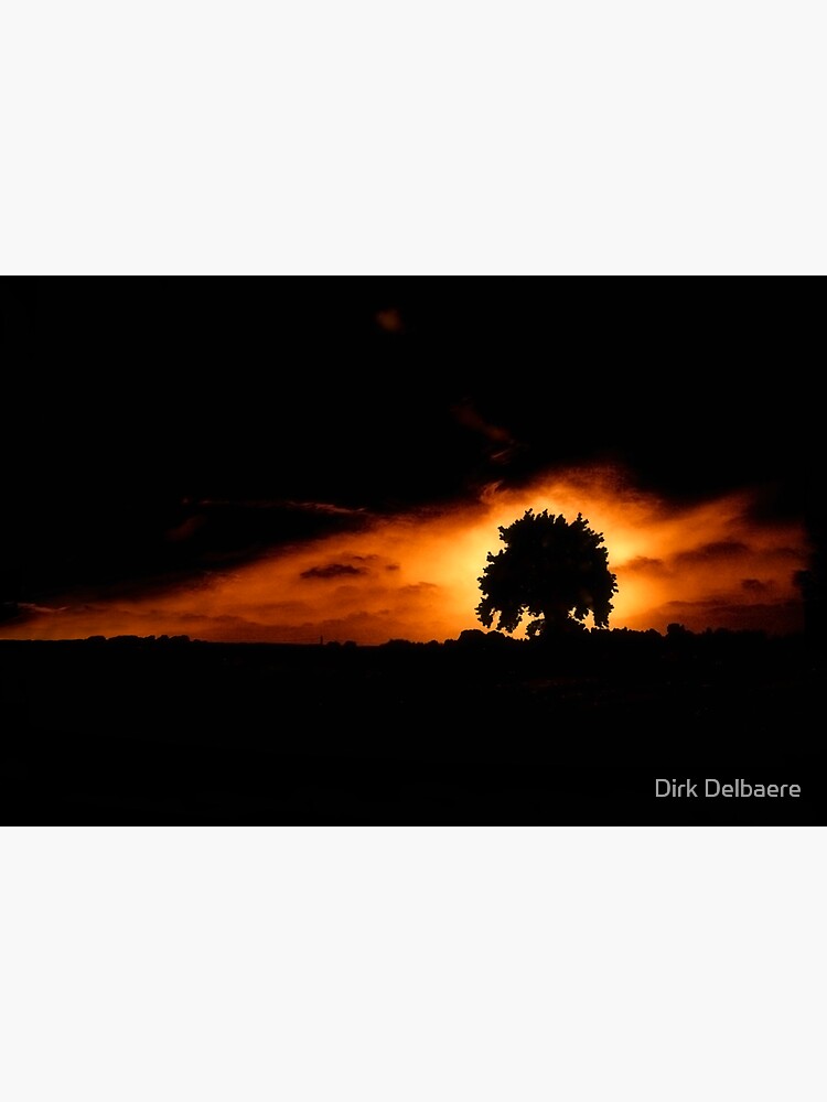 Tree, Darkness by Delbaere