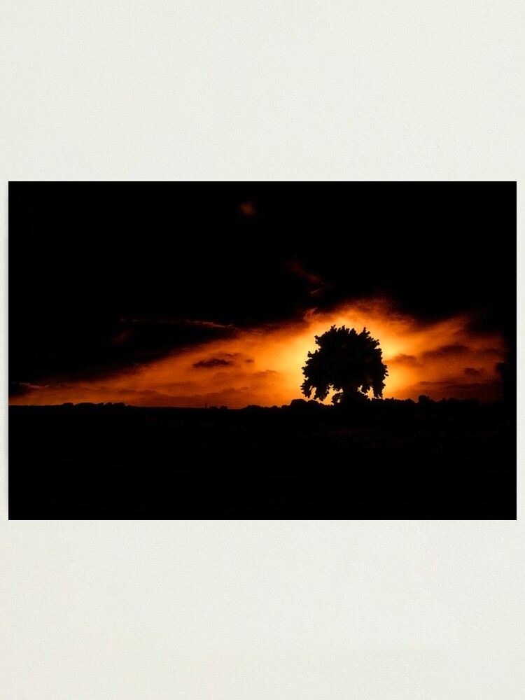Alternate view of Tree, Darkness Photographic Print