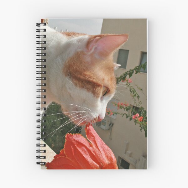 Item preview, Missing You Luli designed and sold by Nira Dabush.