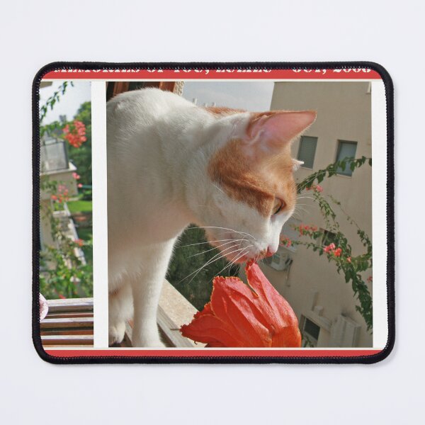 Item preview, Missing You Luli designed and sold by Nira Dabush.