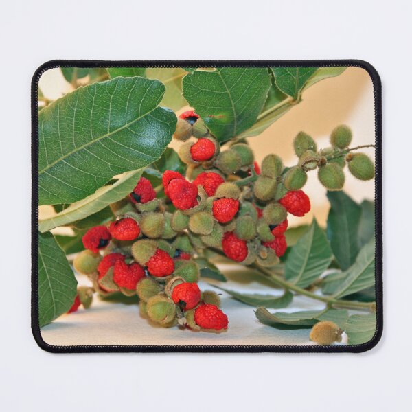 Item preview, The Natural Composition designed and sold by Nira Dabush.