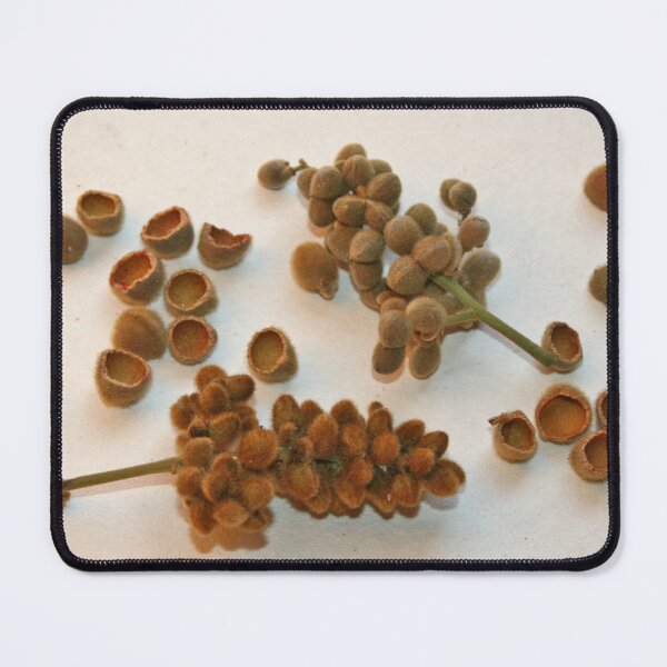 Item preview, Part of a Cycle designed and sold by Nira Dabush.