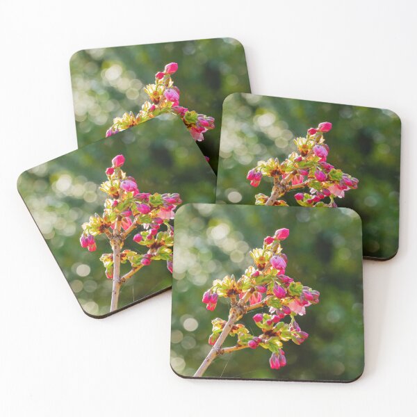 Item preview, Budding Pink Cherry Blossom designed and sold by Tanya C  Smith.
