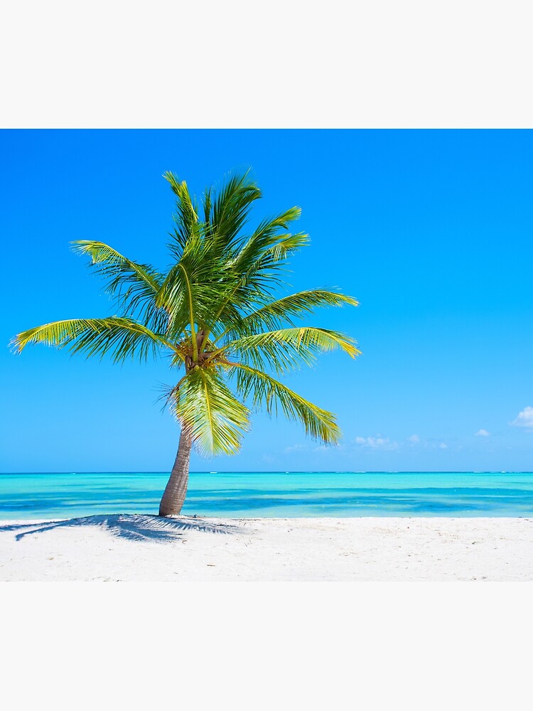 Discover Maldives Beach Photo Premium Matte Vertical Poster