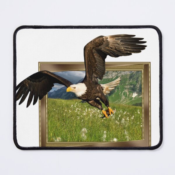 Item preview,  Eagle in frame with 3D effect designed and sold by borabiii.