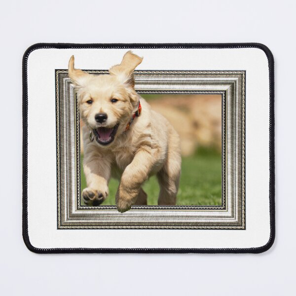 Item preview, Puppy in frame with 3D effect designed and sold by borabiii.