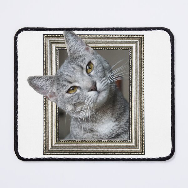 Item preview, Cat in frame with 3D effect designed and sold by borabiii.