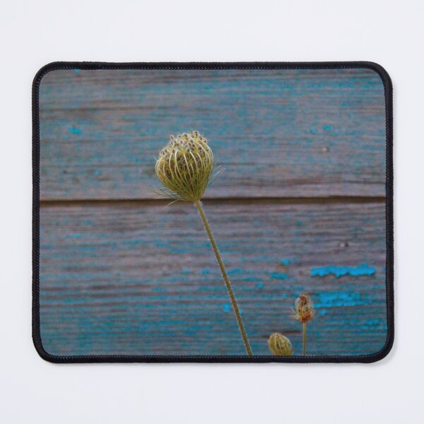 Item preview, Flora and urban exploration designed and sold by iam01110011.