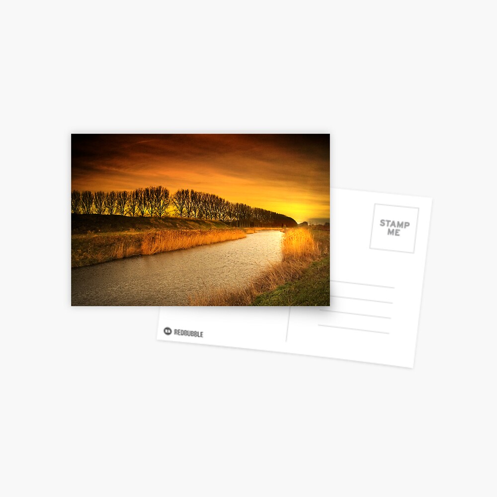Burning stream Postcard