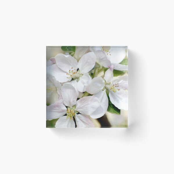 Item preview, Spring Awakening designed and sold by Kathilee.
