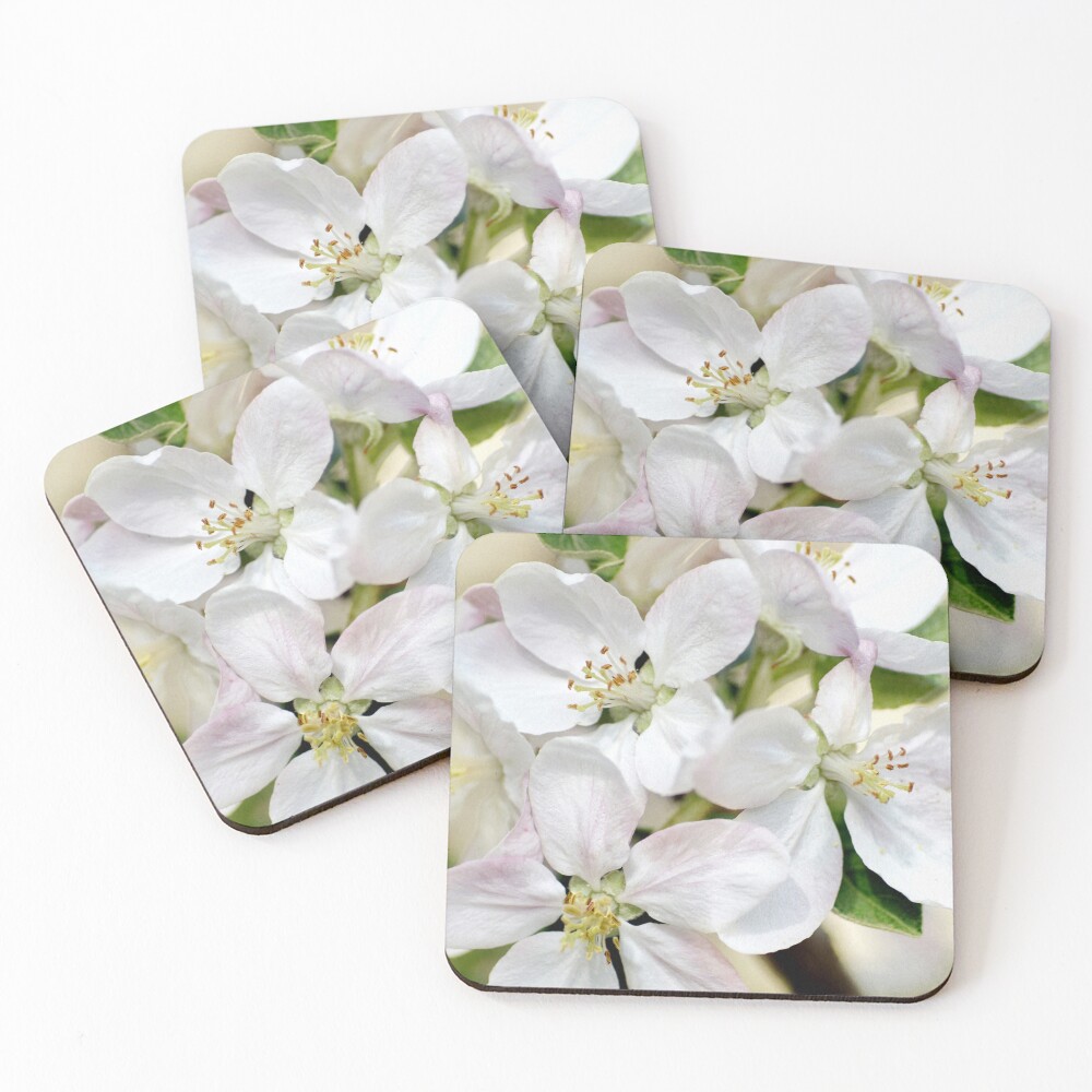 Item preview, Coasters (Set of 4) designed and sold by Kathilee.