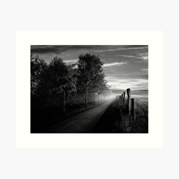 Path in the evening Art Print