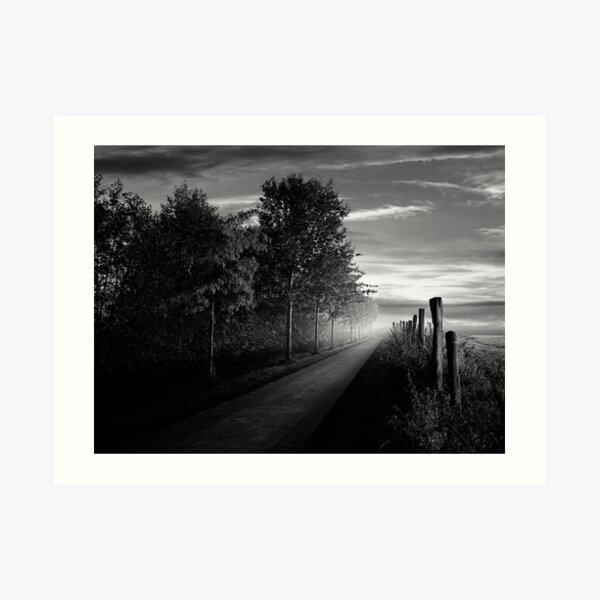 Path in the evening Art Print