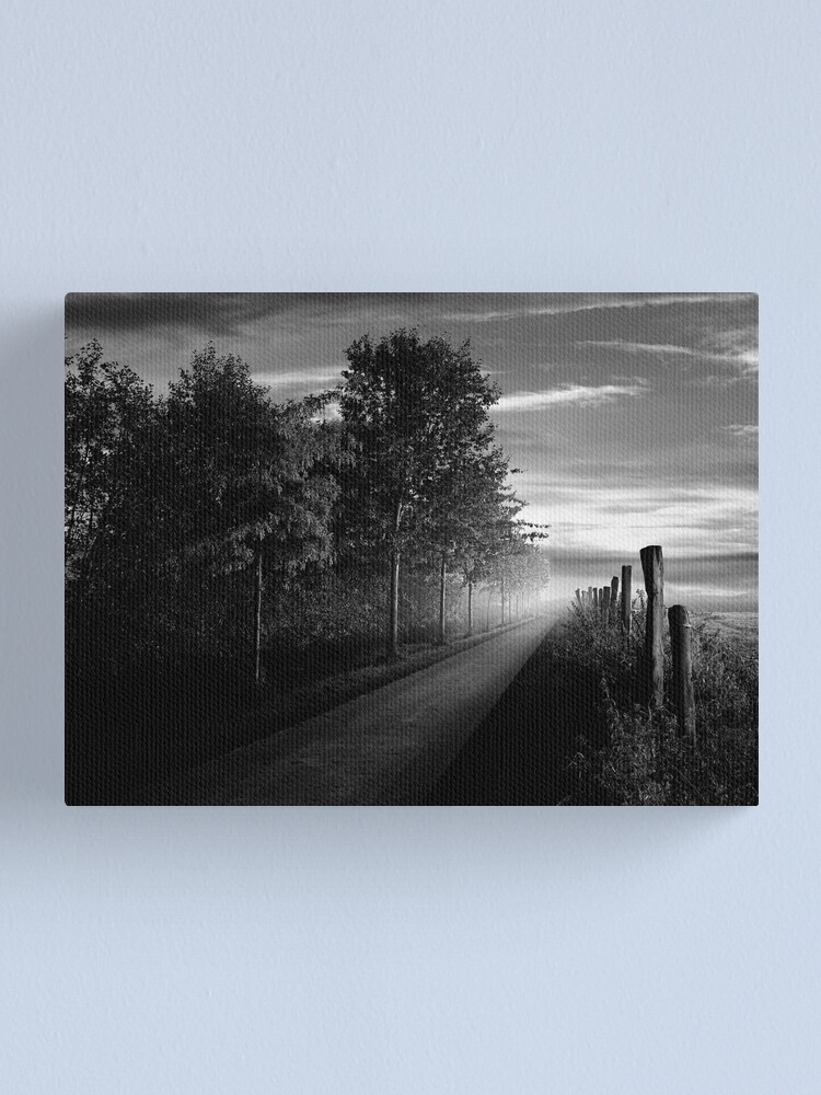 Alternate view of Path in the evening Canvas Print