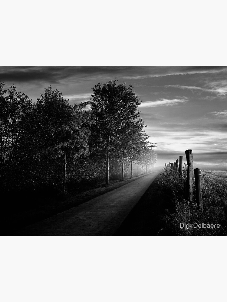 Path in the evening by Delbaere