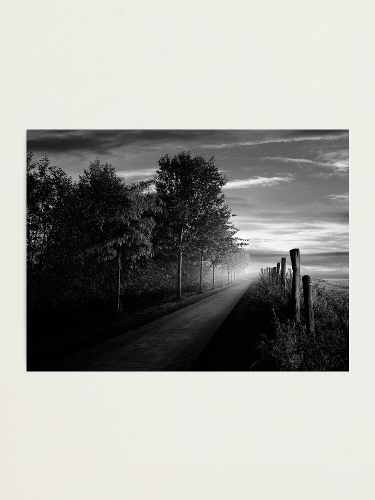 Alternate view of Path in the evening Photographic Print