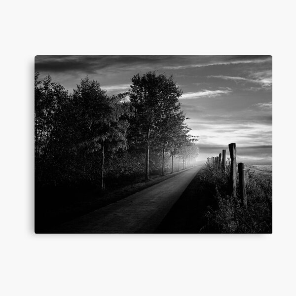 Path in the evening Canvas Print