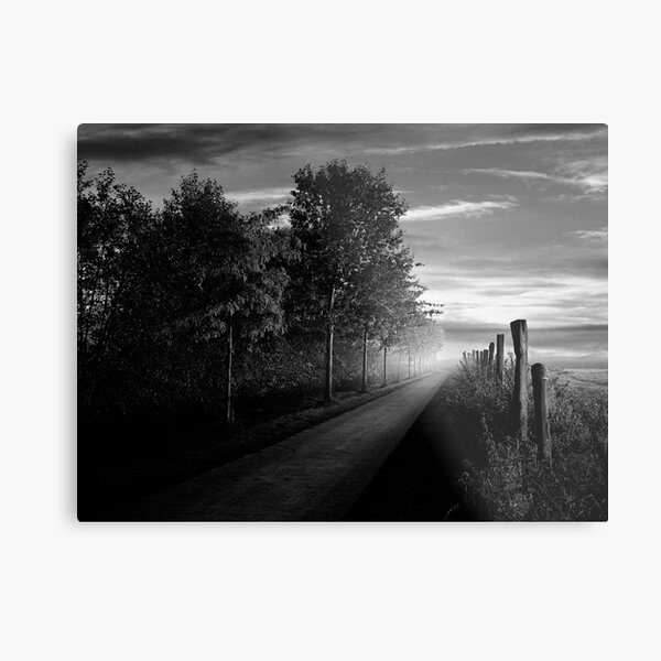 Path in the evening Metal Print