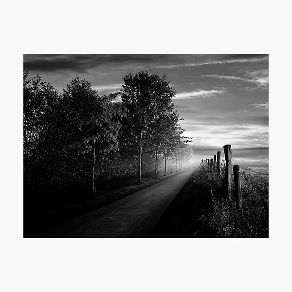 Path in the evening Photographic Print