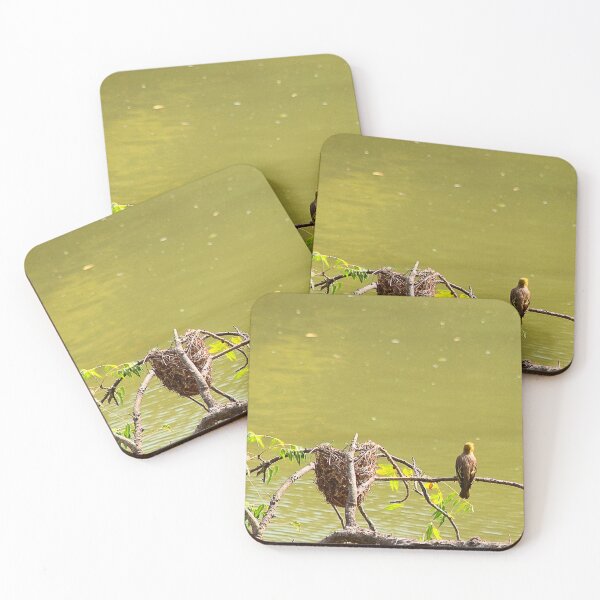 Item preview, Bulbul Bird designed and sold by Graz-Photos.