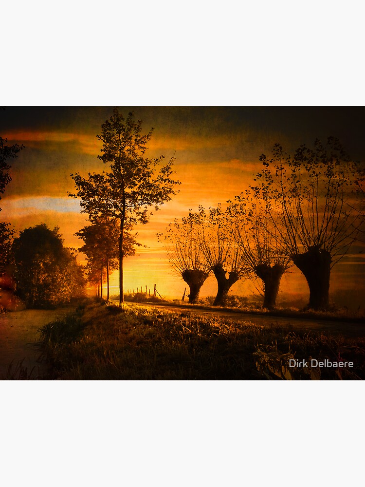 Pathway by Delbaere