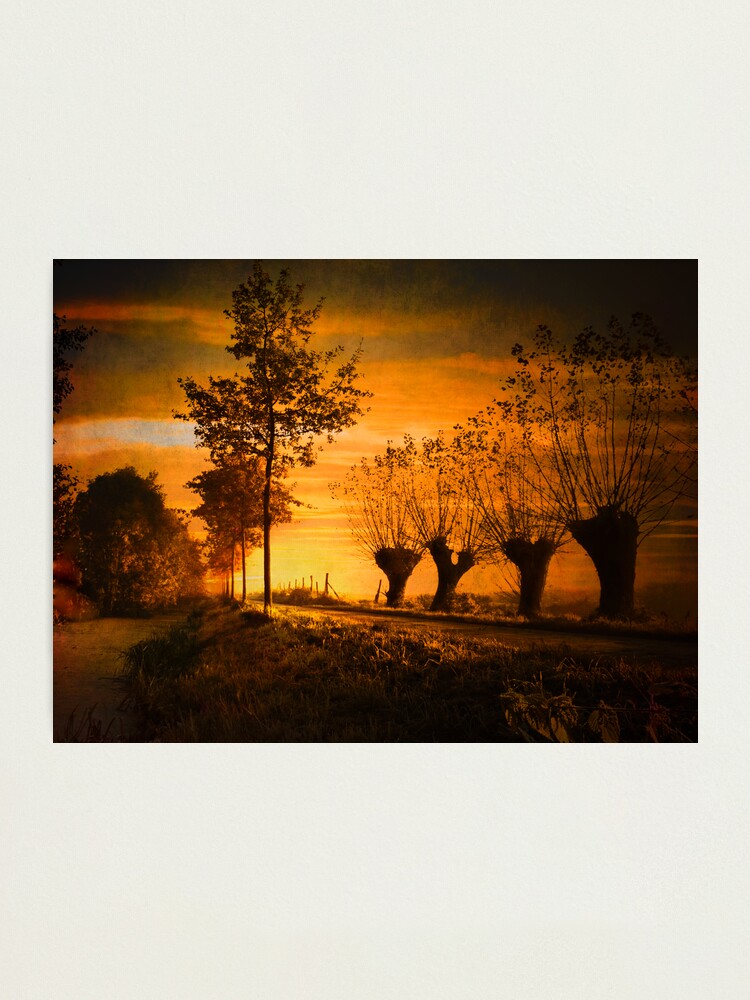 Alternate view of Pathway Photographic Print