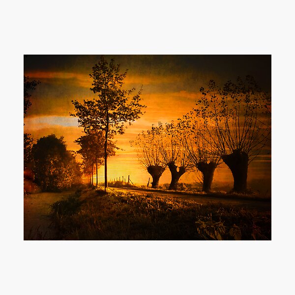 Pathway Photographic Print