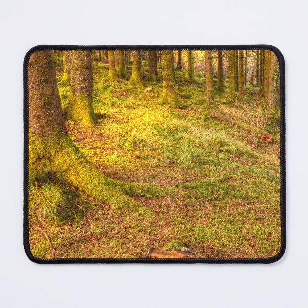Item preview, The Woods - Alwen Reservoir - North Wales designed and sold by Darren Wilkes.