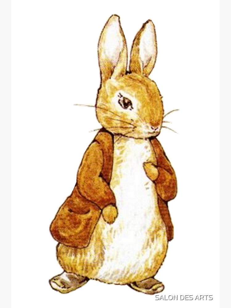 ビンテージ　Beatrix potter's ベンジャミン　バニー ビンテージ Beatrix potter's ベンジャミン バニー - メルカリ